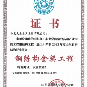 鋼結(jié)構(gòu)金獎(jiǎng)工程